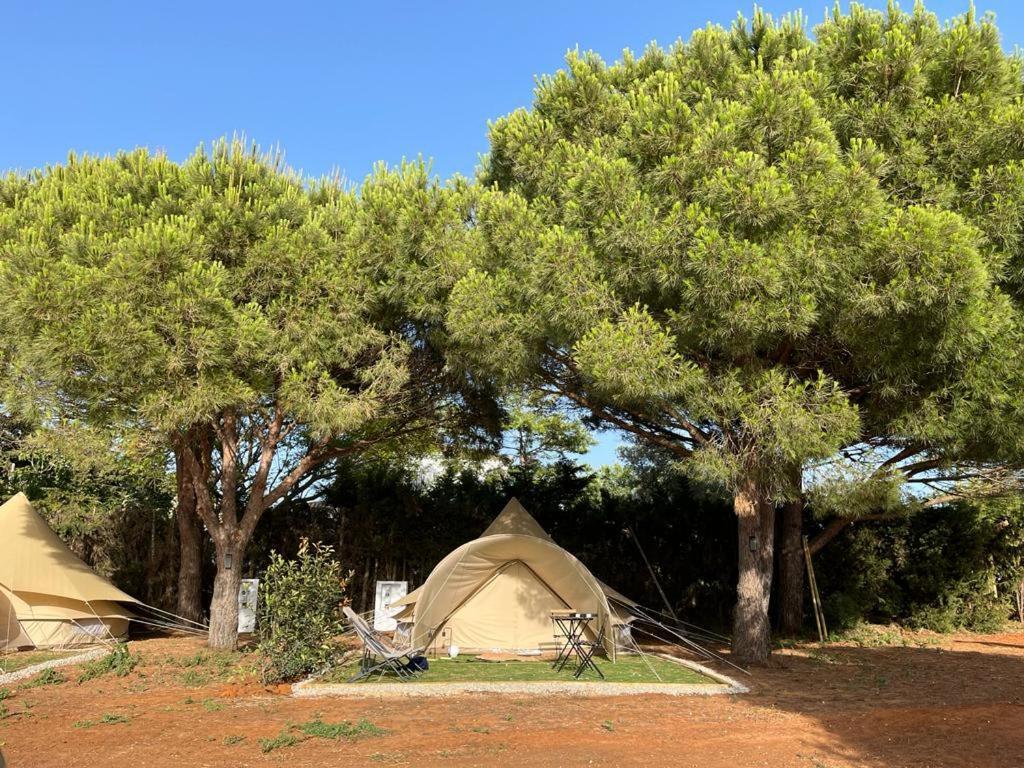Glamping La Mimosa Conil Hotell Conil De La Frontera Exteriör bild