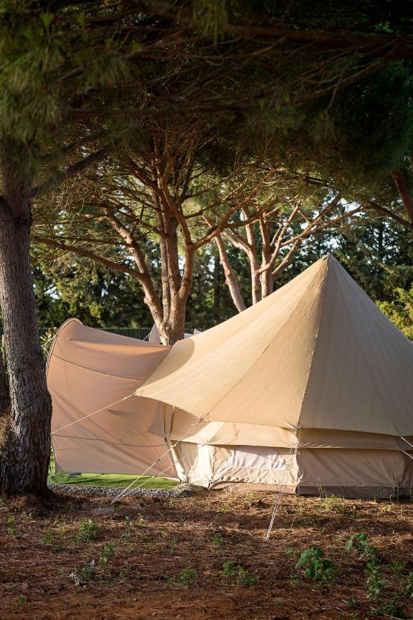 Glamping La Mimosa Conil Hotell Conil De La Frontera Exteriör bild