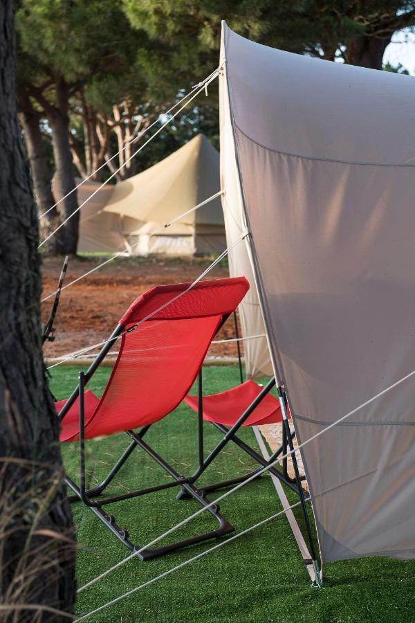 Glamping La Mimosa Conil Hotell Conil De La Frontera Exteriör bild