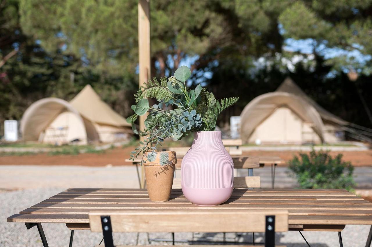 Glamping La Mimosa Conil Hotell Conil De La Frontera Exteriör bild
